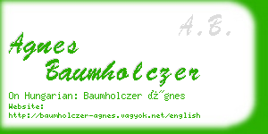 agnes baumholczer business card